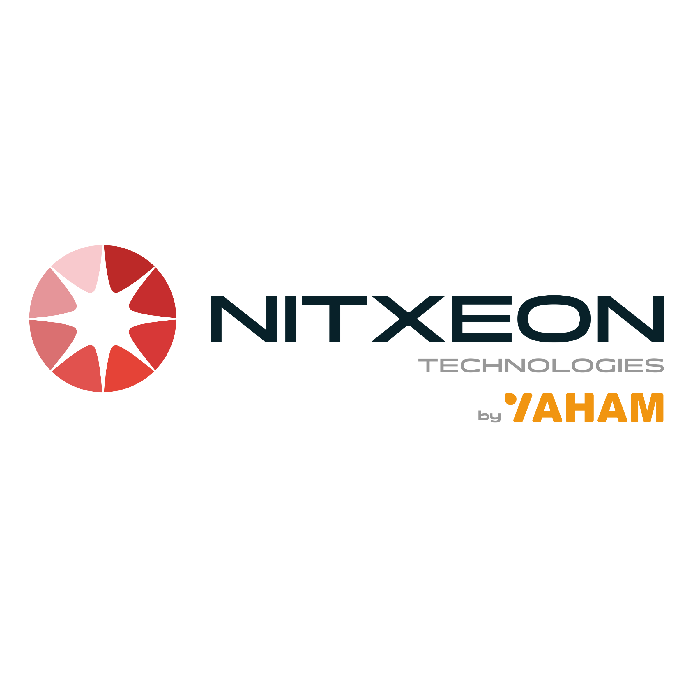 Yaham Nitxeon Technologies HK Limites